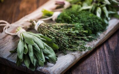 Le erbe spontanee nella cucina tradizionale delle Marche